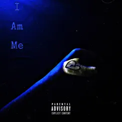 I Am Me by Snappa album reviews, ratings, credits