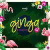 Ginga Riddim (Instrumental) song lyrics