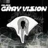 Colors: Gray Vision album lyrics, reviews, download