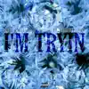 I'm Tryin (feat. Fully Loaded Stan) - Single album lyrics, reviews, download