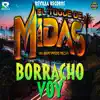 Borracho Voy - Single album lyrics, reviews, download