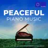 Bryukhno, Satie, Grieg, Beethoven, Mozart, Bach, Schumann, Debussy: Peaceful Piano Music album lyrics, reviews, download