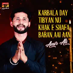Karbala Day Tibyan Nu Khak E Shafa Baran Aai Aan - Single by Amir Ali album reviews, ratings, credits