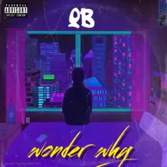 Wonder Why - Single by Big QB album reviews, ratings, credits