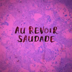 Au Revoir Saudade (feat. MOMO.) Song Lyrics