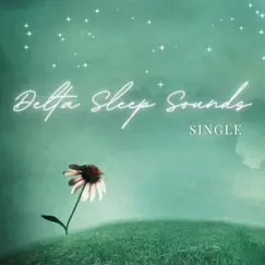 Delta Sleep Sounds - Single Song Lyrics