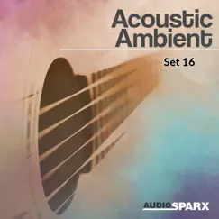 Acoustic Ambient, Set 16 by Various Artists album reviews, ratings, credits