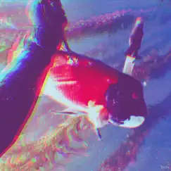 EXOTIC FISH (feat. Noqh) Song Lyrics