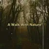 A Walk with Nature - Single album lyrics, reviews, download