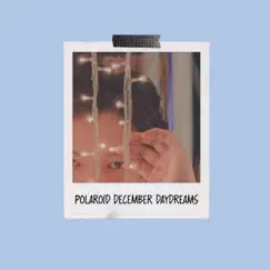 Polaroid December Daydreams Song Lyrics