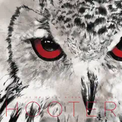 Hooter by REDALiCE & aran album reviews, ratings, credits