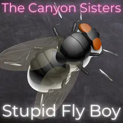 Stupid Fly Boy - Single by The Canyon Sisters album reviews, ratings, credits
