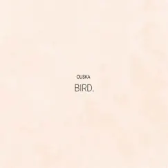 Bird. Song Lyrics