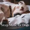 Sleep Music for Dogs (feat. Dog Music Club & Music for Dog's Ears) album lyrics, reviews, download
