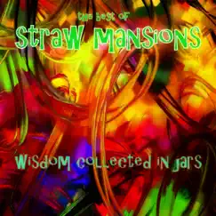 Wisdom Collected in Jars by The Straw Mansions album reviews, ratings, credits