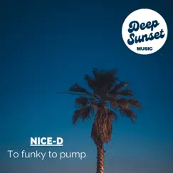 To funky to pump (feat. Stefan Benhard) - Single by Nice-D album reviews, ratings, credits