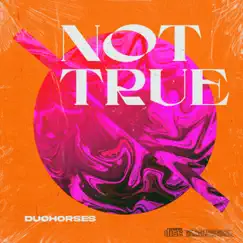 Not True - Single by DuoHorses album reviews, ratings, credits