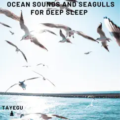 Ocean Sounds and Seagulls For Deep Sleep Beach Waves Sounds 1 Hour Relaxing Nature Ambient Yoga Meditation Sounds For Sleeping Relaxation or Studying by TAYEGU album reviews, ratings, credits