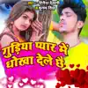 Gudiya Pyar Me Dhokha Dele Chhai - Single album lyrics, reviews, download