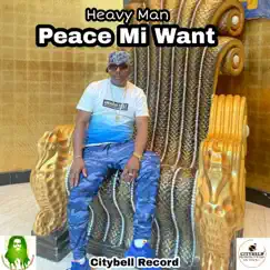 Peace Mi Want Song Lyrics