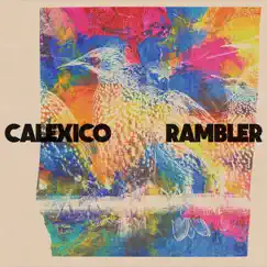 Rambler - Single by Calexico album reviews, ratings, credits