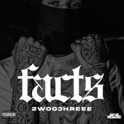 Facts - Single by 2woo3hreee album reviews, ratings, credits