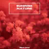 Sunrise Nature (Forest Rain) song lyrics