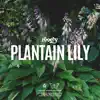 Plantain Lily - Single album lyrics, reviews, download