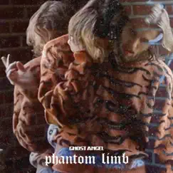 Phantom Limb Song Lyrics
