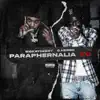 Paraphernalia 2.0 (feat. G Herbo) - Single album lyrics, reviews, download