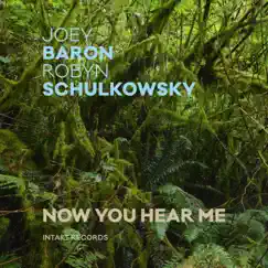 Now You Hear Me by Joey Baron & Robyn Schulkowsky album reviews, ratings, credits