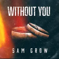 Without You - Single by Sam Grow album reviews, ratings, credits