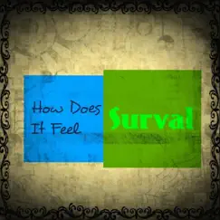 How Does It Feel? - Single by Surval album reviews, ratings, credits