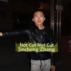 Not Cut Not Cut by Jincheng Zhang album reviews, ratings, credits