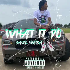 What It Do (feat. Sauce Walka) [Remix] - Single by TREYCO album reviews, ratings, credits