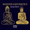 Buddha Experience (Radio Edit) album lyrics, reviews, download