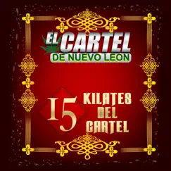 15 Kilates Del Cártel by El Cartel De Nuevo Leon album reviews, ratings, credits
