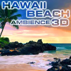 Healing Hawaii Beach Ambience (feat. Blue Bay Sounds, Nature Sounds Explorer, OurPlanet Soundscapes, Paramount Nature Soundscapes, Paramount Soundscapes & Paramount White Noise) Song Lyrics