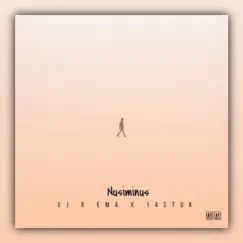 Nusiminus (feat. 14STUK) - Single by EJ album reviews, ratings, credits