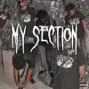 My Section - Single album lyrics, reviews, download