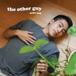 The Other Guy Song Lyrics