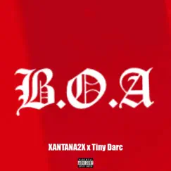 B.O.A - Single by XANTANA2X & Tiny Darc album reviews, ratings, credits