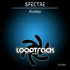 Aukey (150Kilos Spectre Edit) Song Lyrics