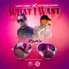 What I Want (feat. Linky First & Trinidad Ghost) [Remix] - Single album lyrics, reviews, download