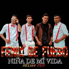 Niña De Mí Vida (feat. Helian Fer) - Single by Fenix De Fuego album reviews, ratings, credits