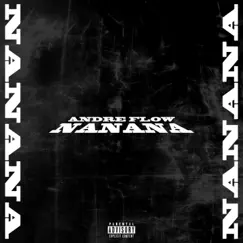 Nanana - Single by André Flow album reviews, ratings, credits