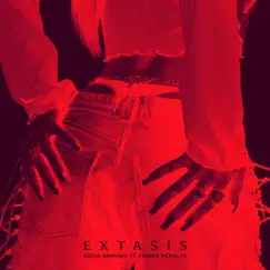 Éxtasis Song Lyrics