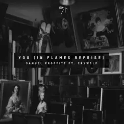 You (In Flames Reprise) [feat. Crywolf] Song Lyrics