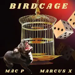 Birdcage Song Lyrics