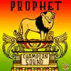 Champion Sound - Single album lyrics, reviews, download